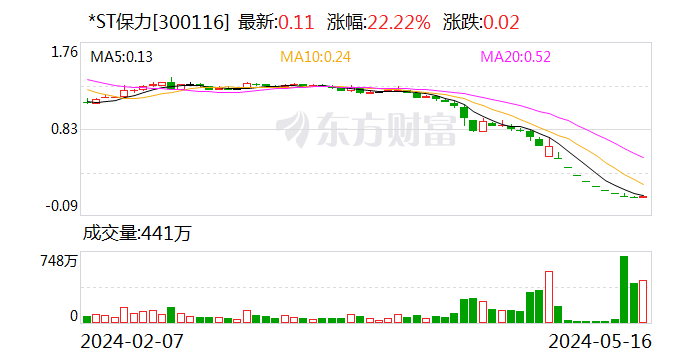 *ST保力：深交所决定终止公司股票上市交易