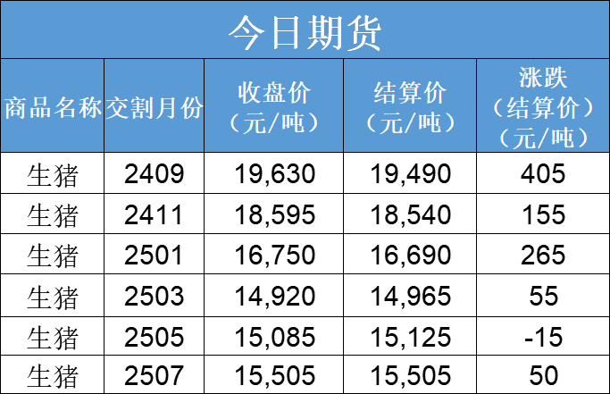 每日猪讯8.12