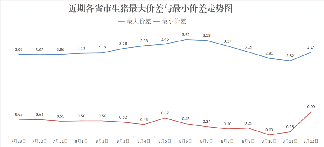 每日猪讯8.12