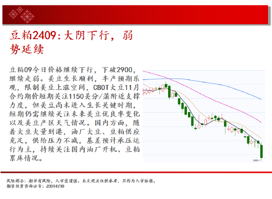 中天期货:纯碱空头趋势继续 棕榈60均线承压下行  第12张