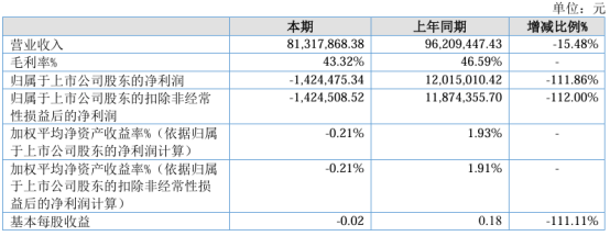 广道数字2024年上半年营收8131.79万 数字政务收入下降  第1张