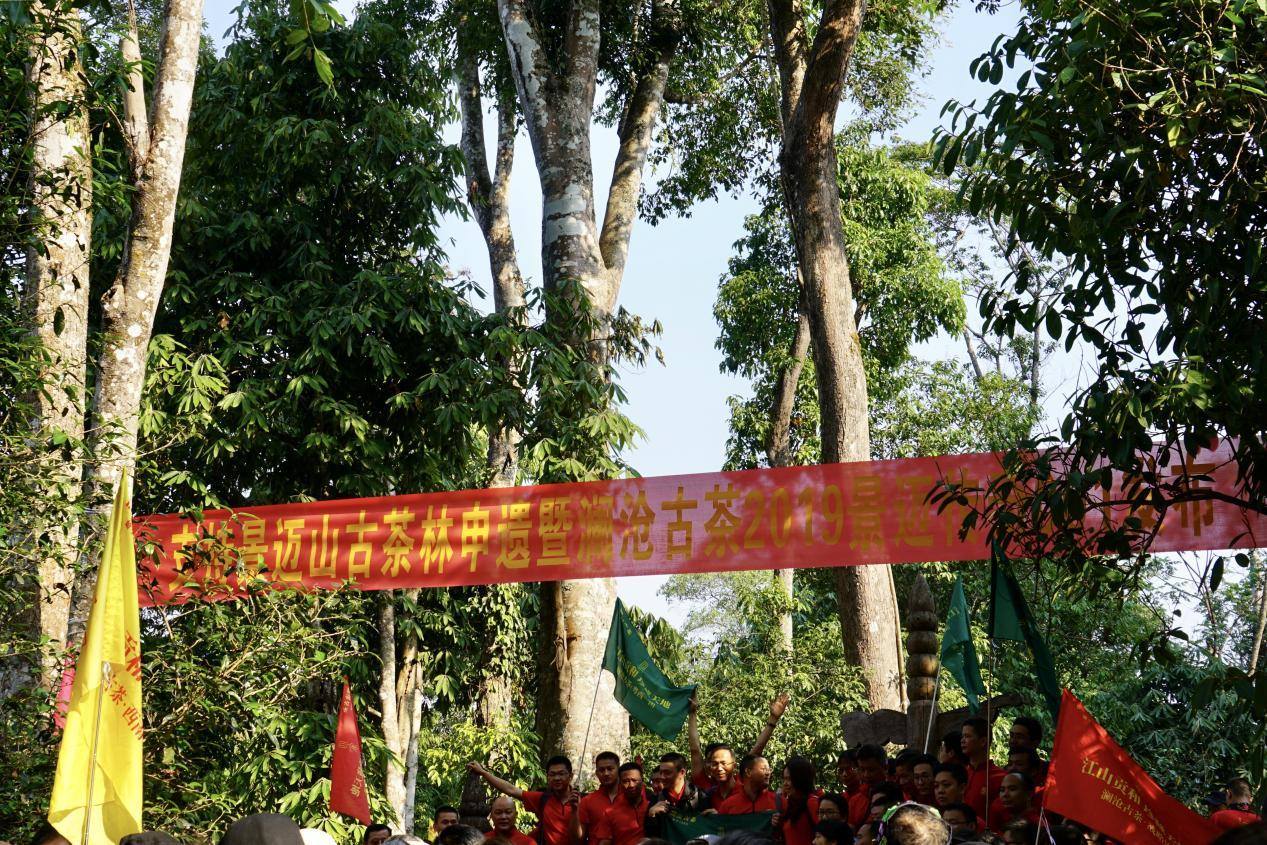 全国模范！澜沧古茶荣获全国民族团结进步模范集体称号  第8张