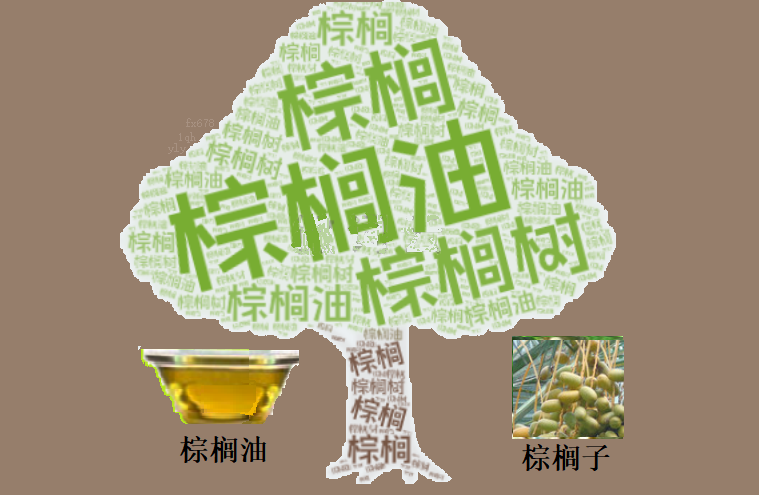 棕榈油价格连续四周飙升，背后隐藏着哪些市场秘密？  第2张