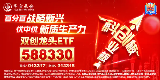 暴拉10%！双创龙头ETF（588330）“大暴走”！科创50+创业板指再度携手狂飙，寒武纪-U涨停封板！  第2张