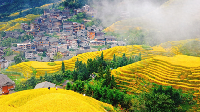 “双十一”来了｜首批囤旅游的人已出发，降温后秋冬季老年游升温  第1张