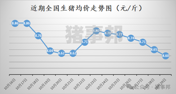 10月29日猪价汇总（均价连跌6天！）  第3张