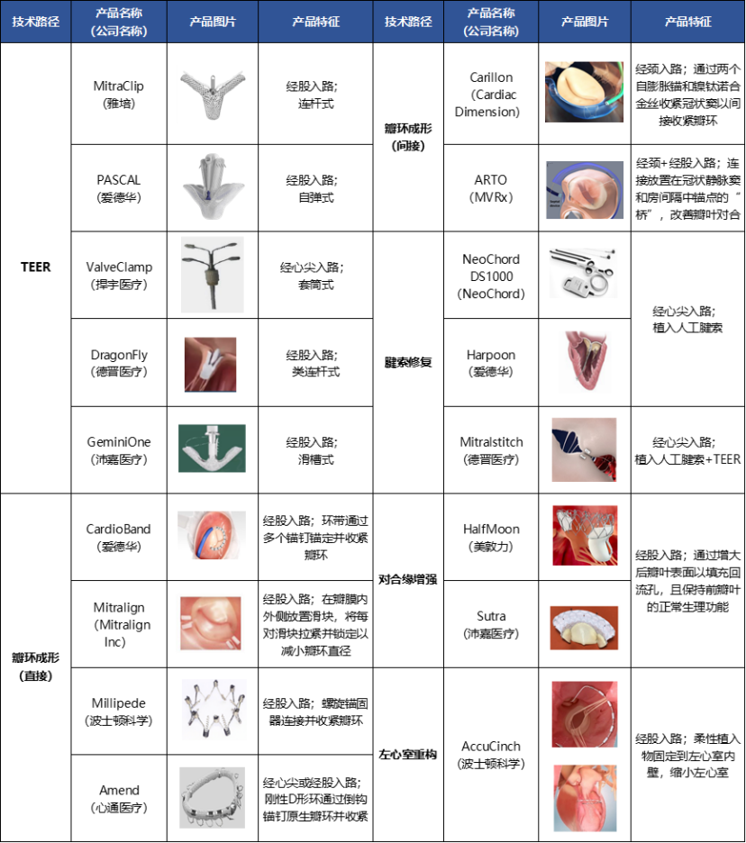 全球最赚钱医疗器械！心脏瓣膜挤入前三  第6张