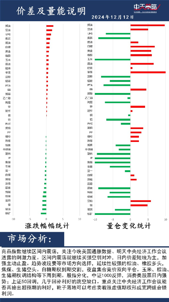 中天策略:12月12日市场分析  第2张