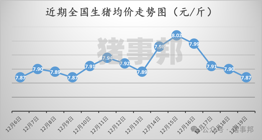 12月19日猪价汇总（情绪偏差，均价跌4天！）  第3张